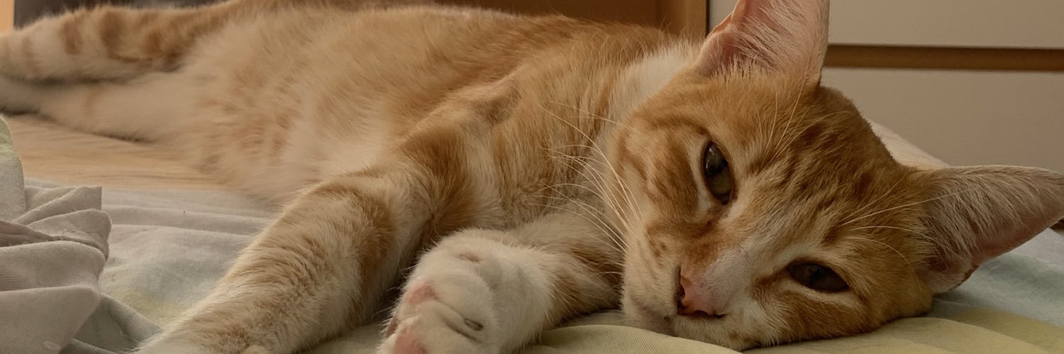 ferttw0's profile banner image