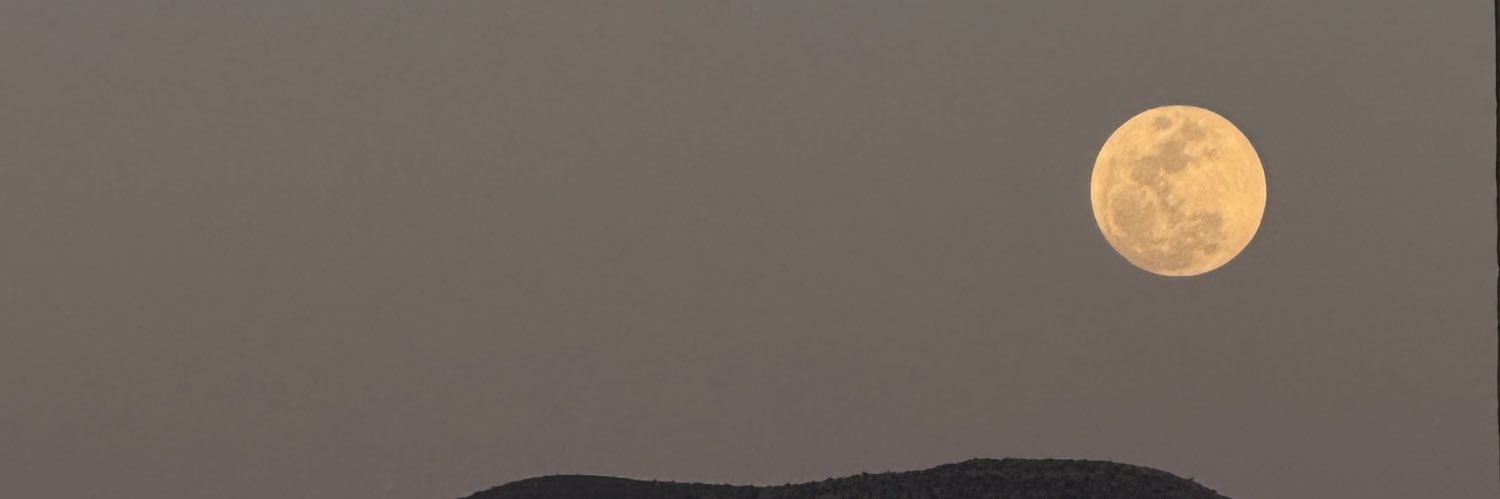 soli banner