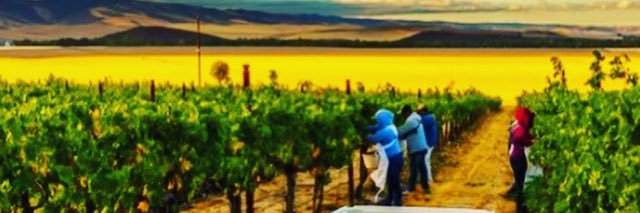 GoldenRidgeWW's profile banner image