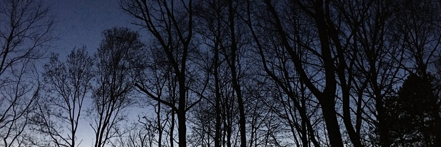 Aeth🌹 banner