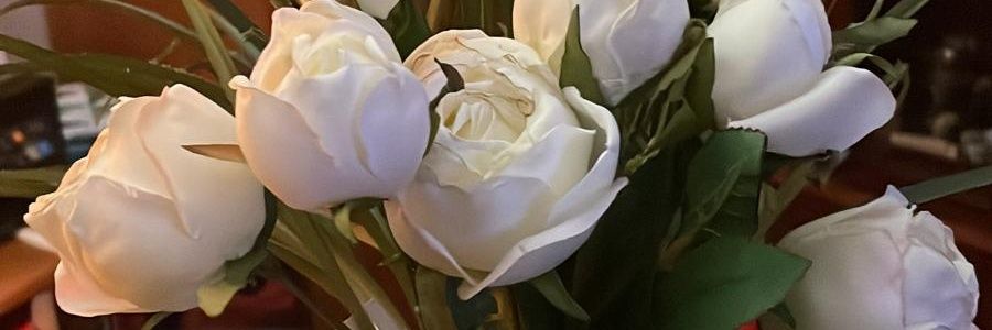 shara2310's profile banner image