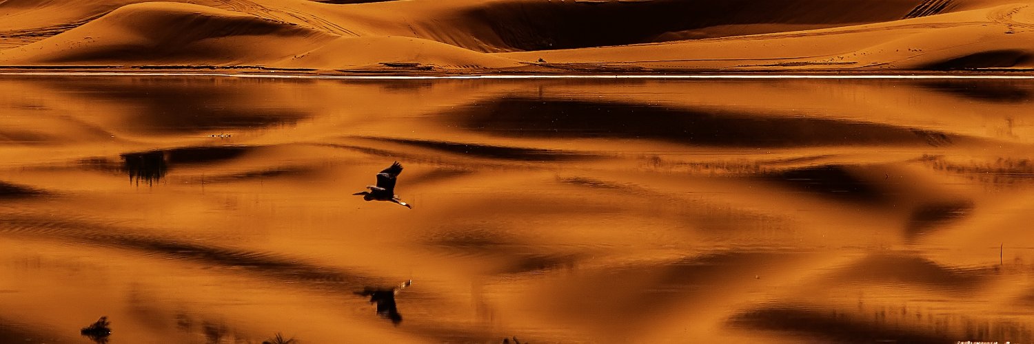 lesliespurlock.sol | NFT.NYC 2024 🏴‍☠️ banner