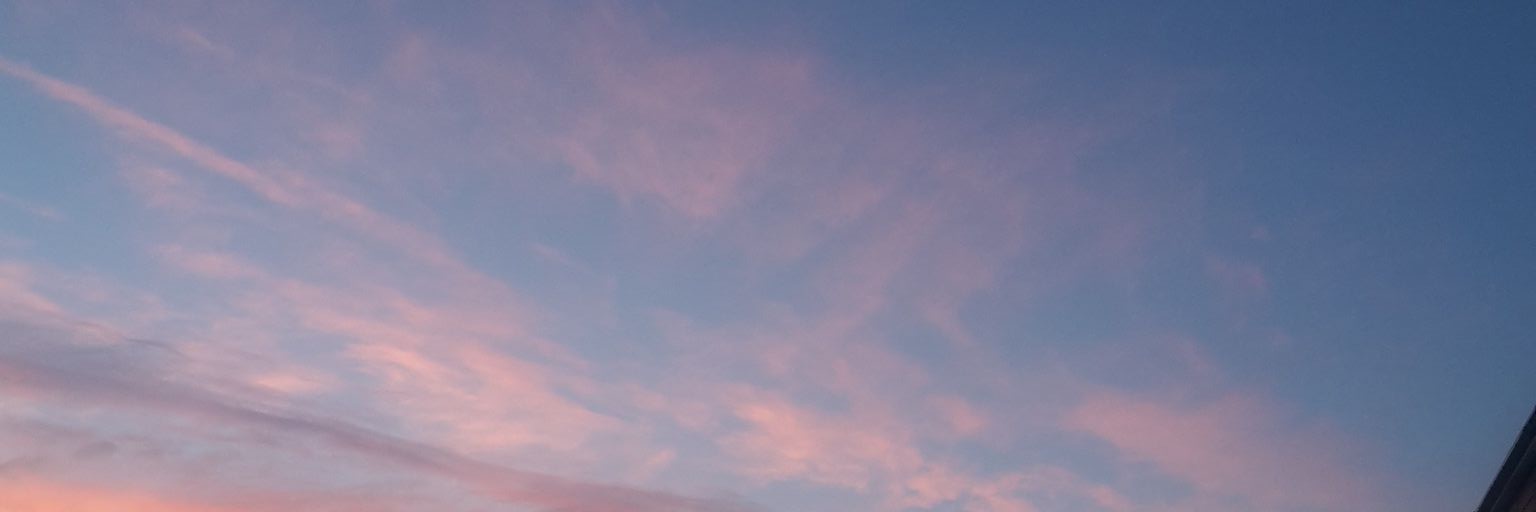 janeal__'s profile banner image
