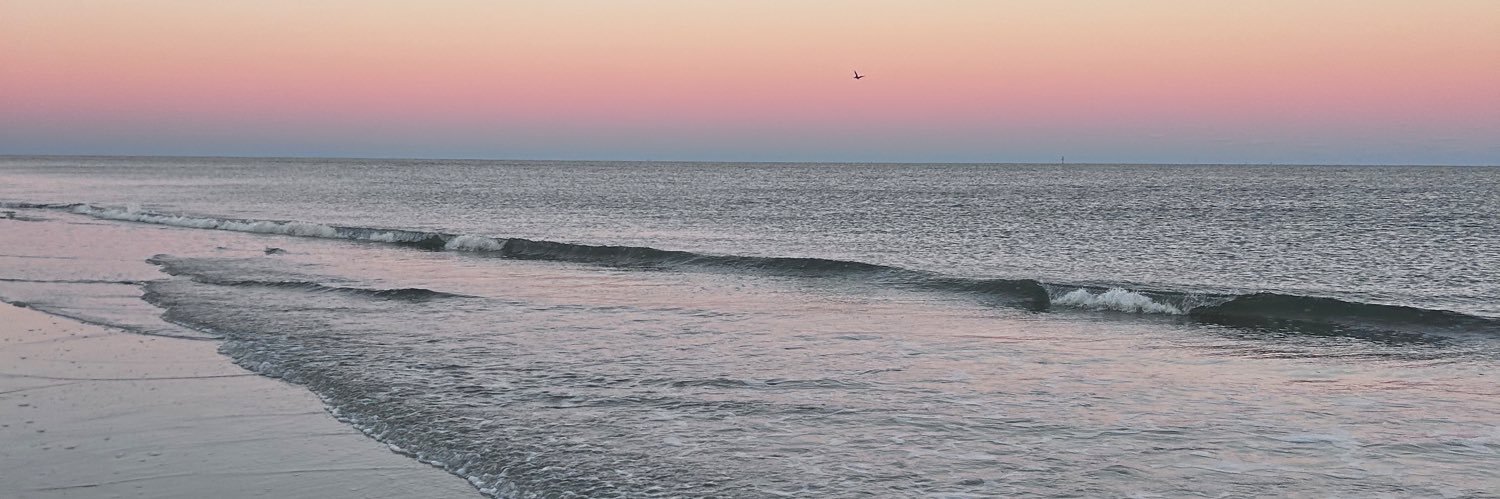 Mitopapi 🧬🕊️ banner