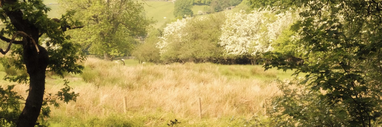 lozstoth's profile banner image