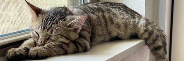 simplyashleey Profile Banner