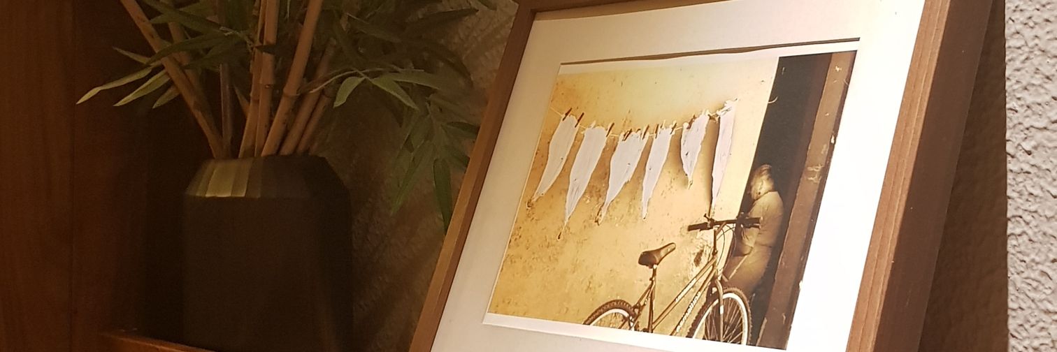 claurocha12's profile banner image