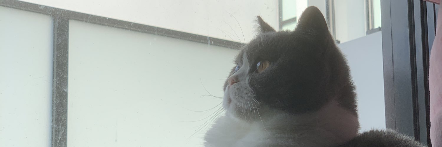 TakiTsang's profile banner image