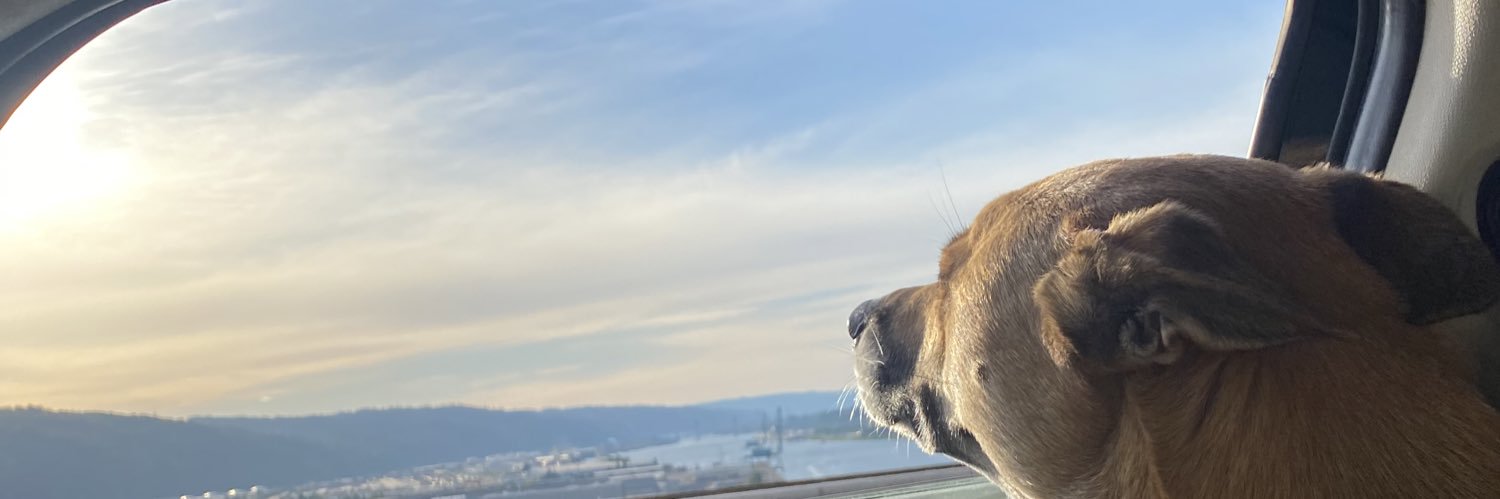 katierobot's profile banner image