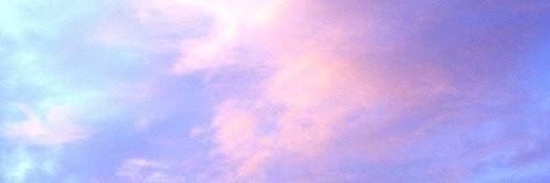 xTess_T's profile banner image