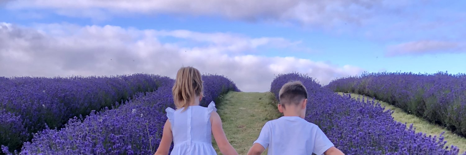 Lauren Templeman banner