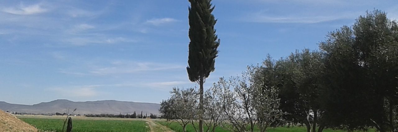 زاهر شعبان banner