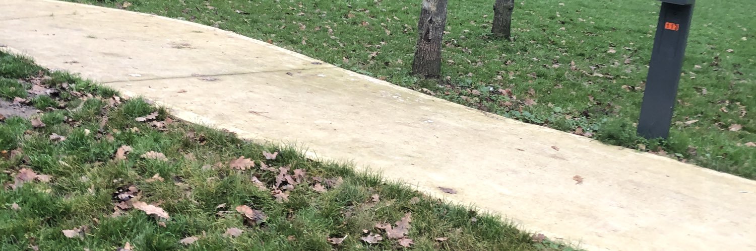 Skyb1rd $BUBBLE 🫧🫧🫧 banner