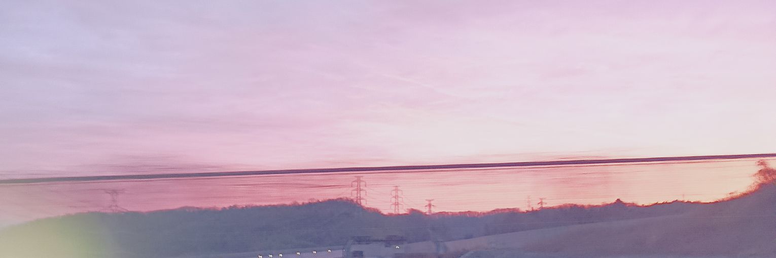 turtlefrog＠白紅の夢鏡 banner