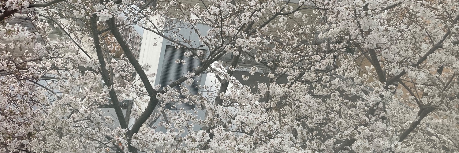 Toshi banner