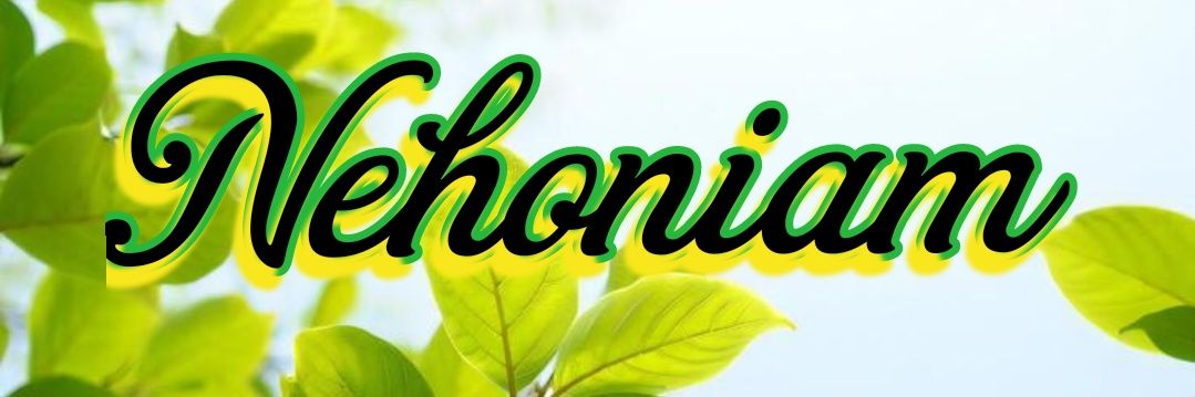 Butterfly 🦋 banner