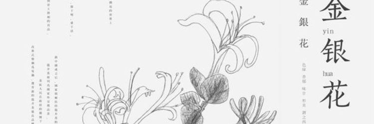 notweretiger's profile banner image