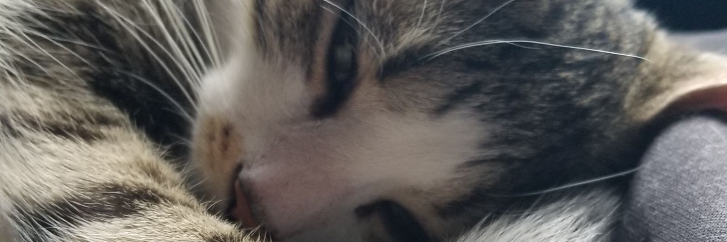 Andy 🏳️‍🌈 banner