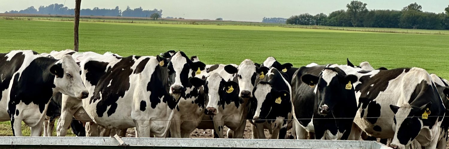 Emma Zappa 🐄🇦🇷 banner