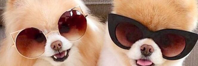 💞Prudence💞 banner