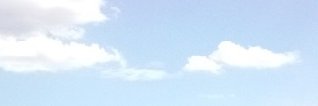 TSR banner