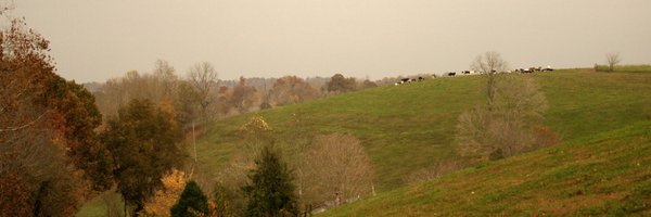 kennyscheese Profile Banner