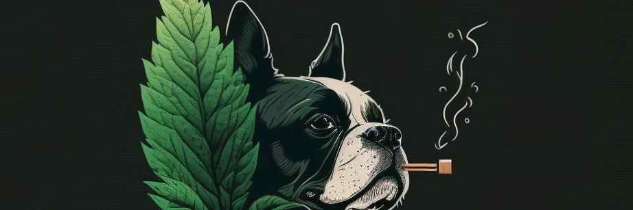 bruno_ueda's profile banner image
