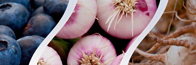 Del Ray Farmers Mkt banner