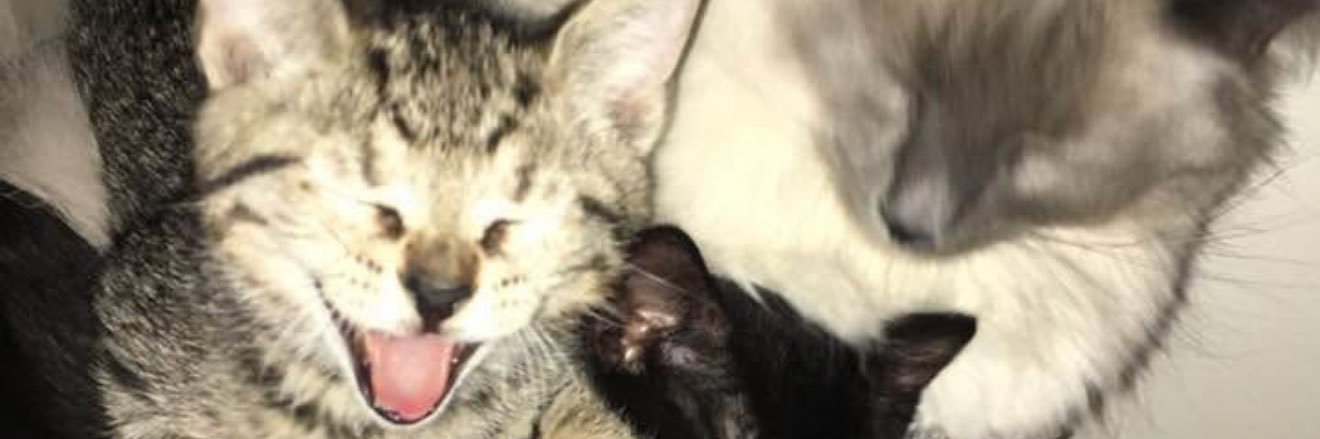 itdoesntmaytr's profile banner image