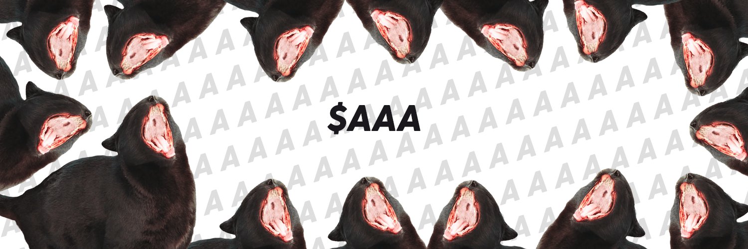 aaa cat banner