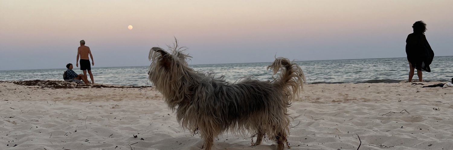 feerengel's profile banner image