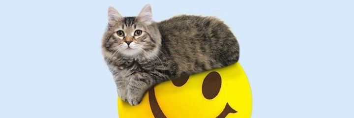 el_ursus's profile banner image