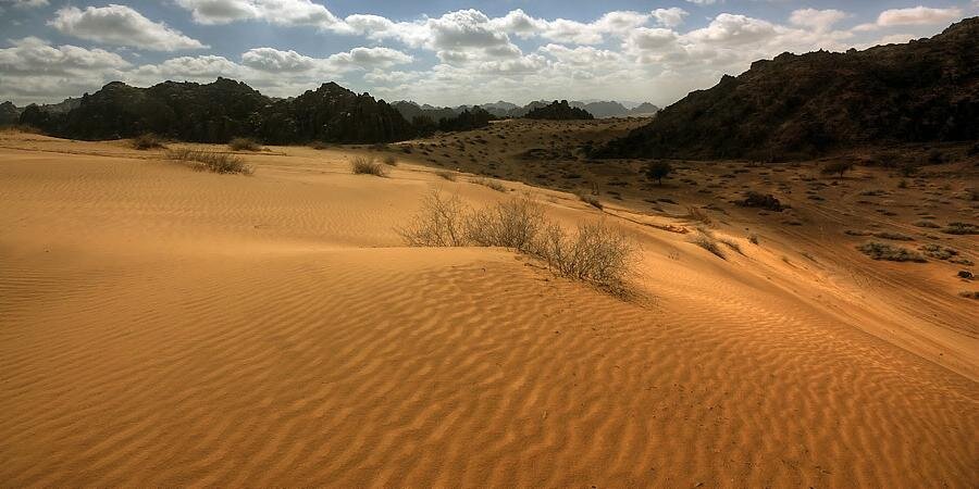 سُلْطَان / Sُuْltَan banner