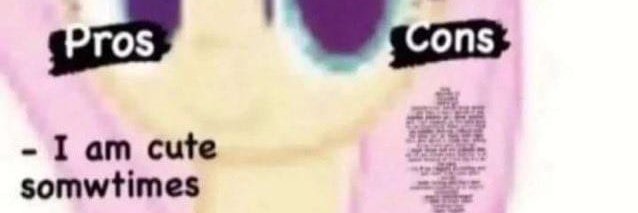 ChimeraWife's profile banner image