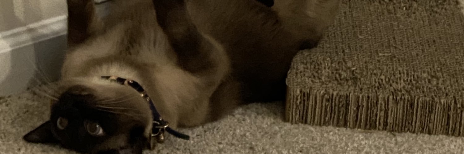 ItsMy_COURT's profile banner image