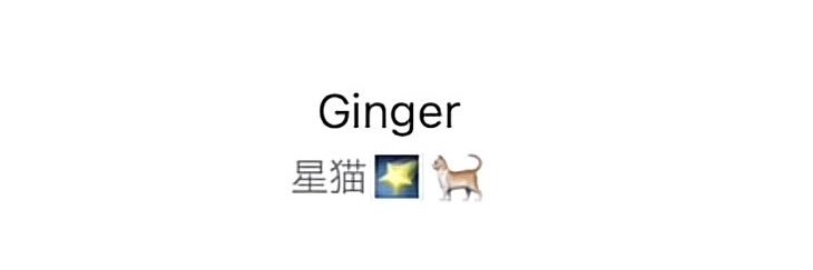 狐井凛🌠🐈 banner