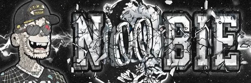 Crypto-Noobie banner