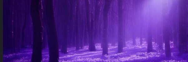 AimeeAmethyst Profile Banner