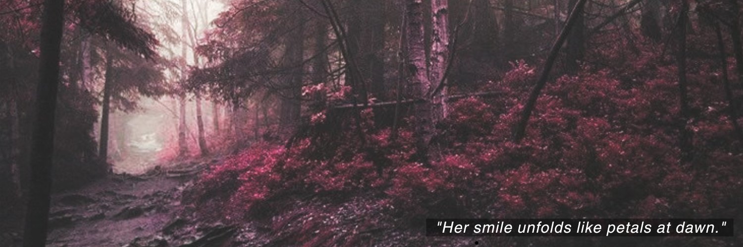 🐈‍⬛ banner