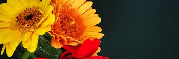 GabrielleU Profile Banner
