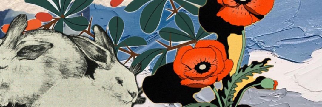 Daniela rodriguez banner