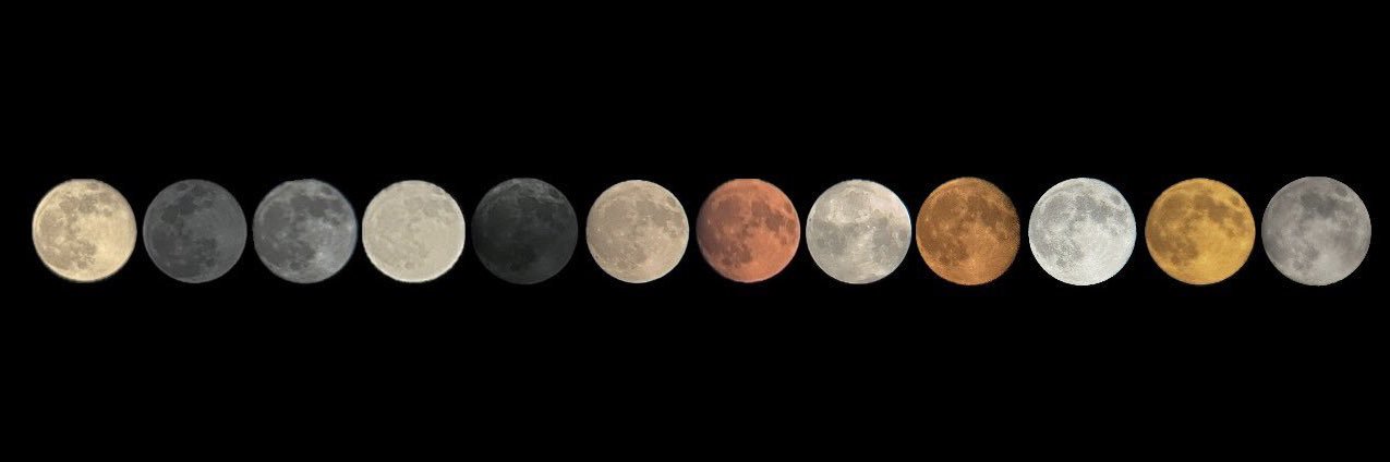 MacaBertran's profile banner image