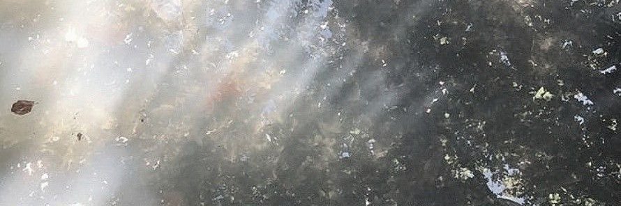 우재's banner