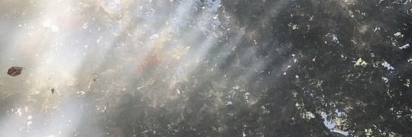 log_reen Profile Banner