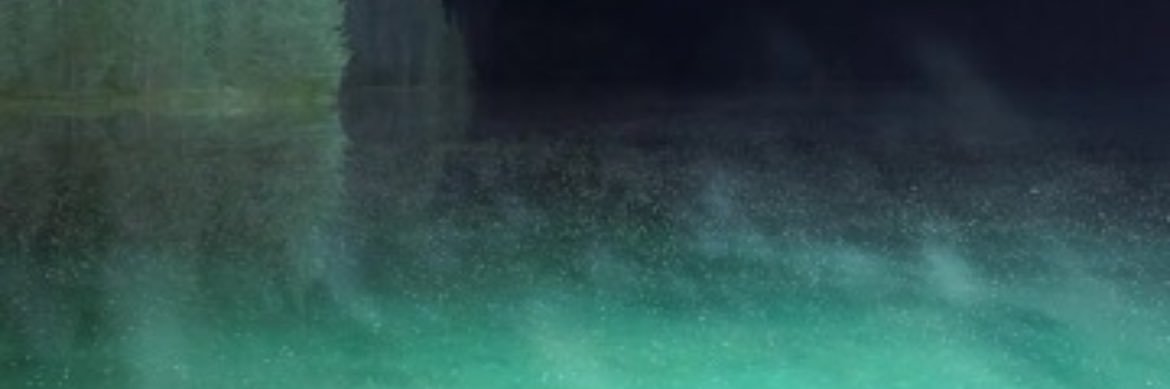 who? banner