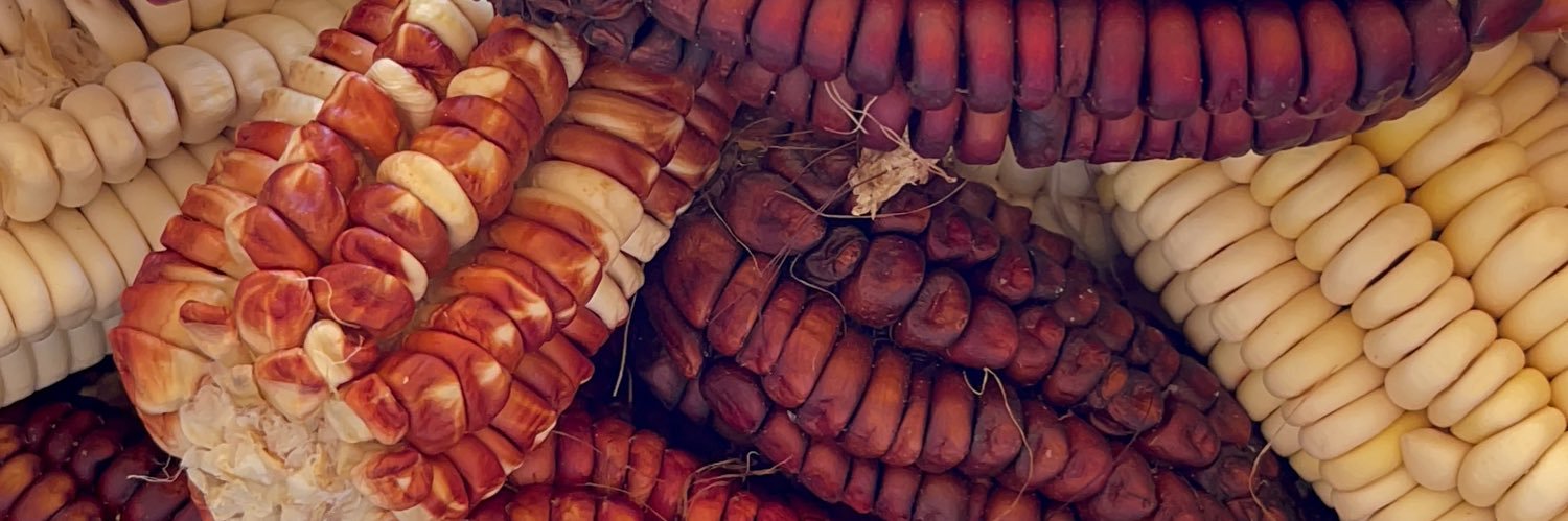 El_Baqueano's profile banner image