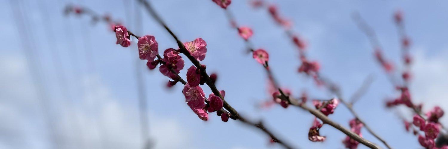 そらまる banner