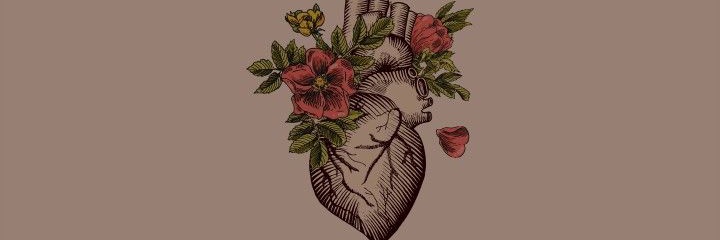 ·٠•● Elif ●•٠· banner