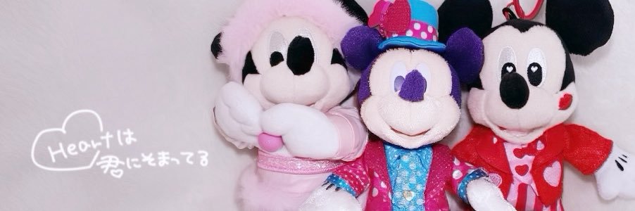 ぴょん🐾💫 banner