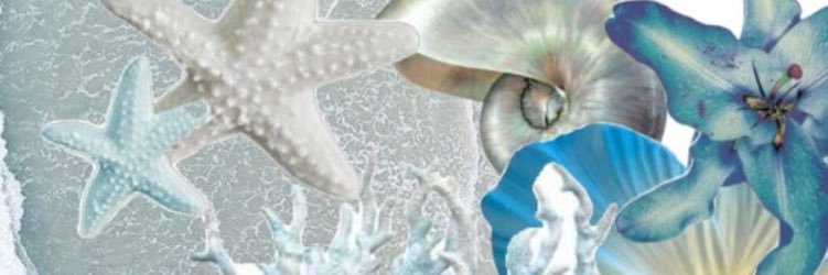 🫧𓇼𓏲*ੈ✩‧₊˚🎐 banner